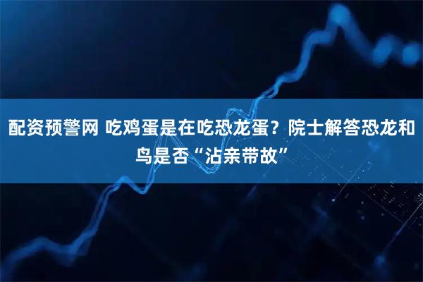 配资预警网 吃鸡蛋是在吃恐龙蛋？院士解答恐龙和鸟是否“沾亲带故”