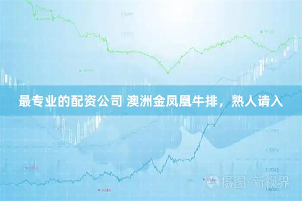 最专业的配资公司 澳洲金凤凰牛排，熟人请入